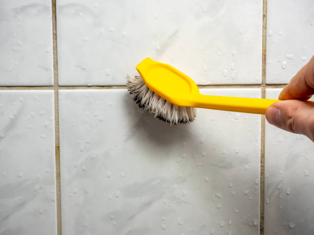 Best Mold Inspection  in Lamar, TX