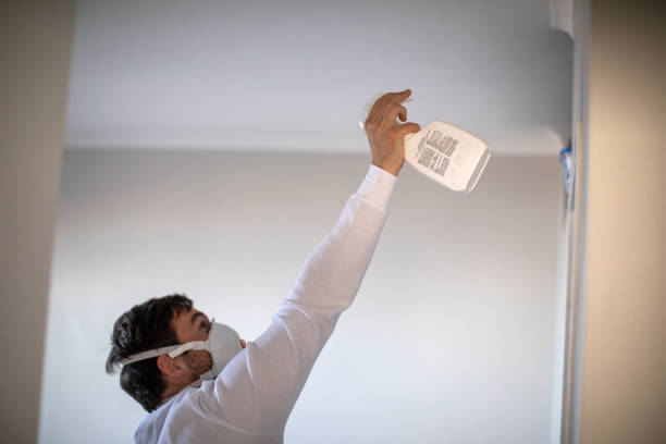 Best Mold Remediation Services  in Lamar, TX
