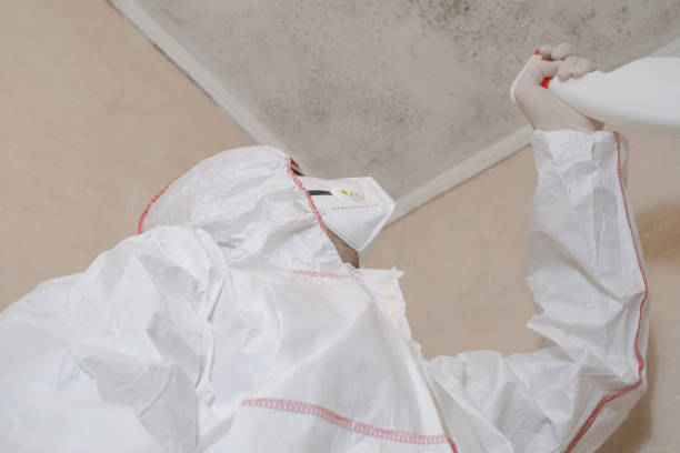 Best Mold Testing  in Lamar, TX